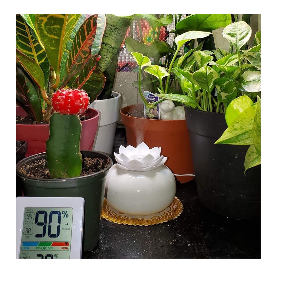 Cool Mist Humidifier - Picture 2 of 7